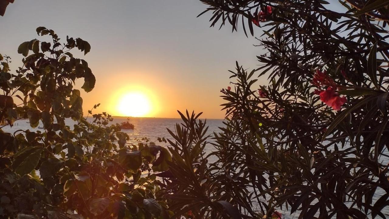 Oceano Atins Otel Dış mekan fotoğraf