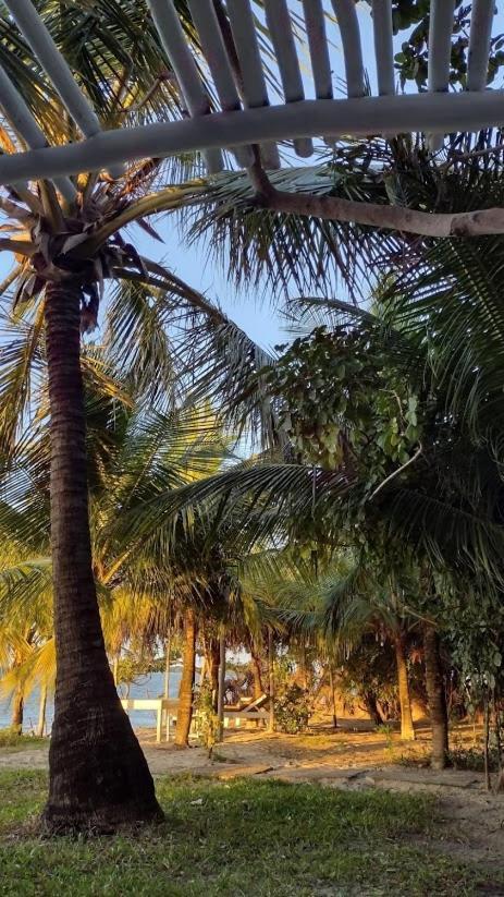 Oceano Atins Otel Dış mekan fotoğraf